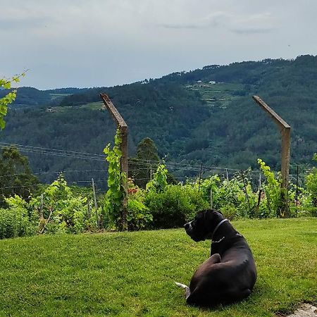 Villa Casa Da Vina - Ribeira Sacra à Nogueira De Ramuin Extérieur photo