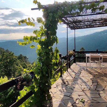 Villa Casa Da Vina - Ribeira Sacra à Nogueira De Ramuin Extérieur photo