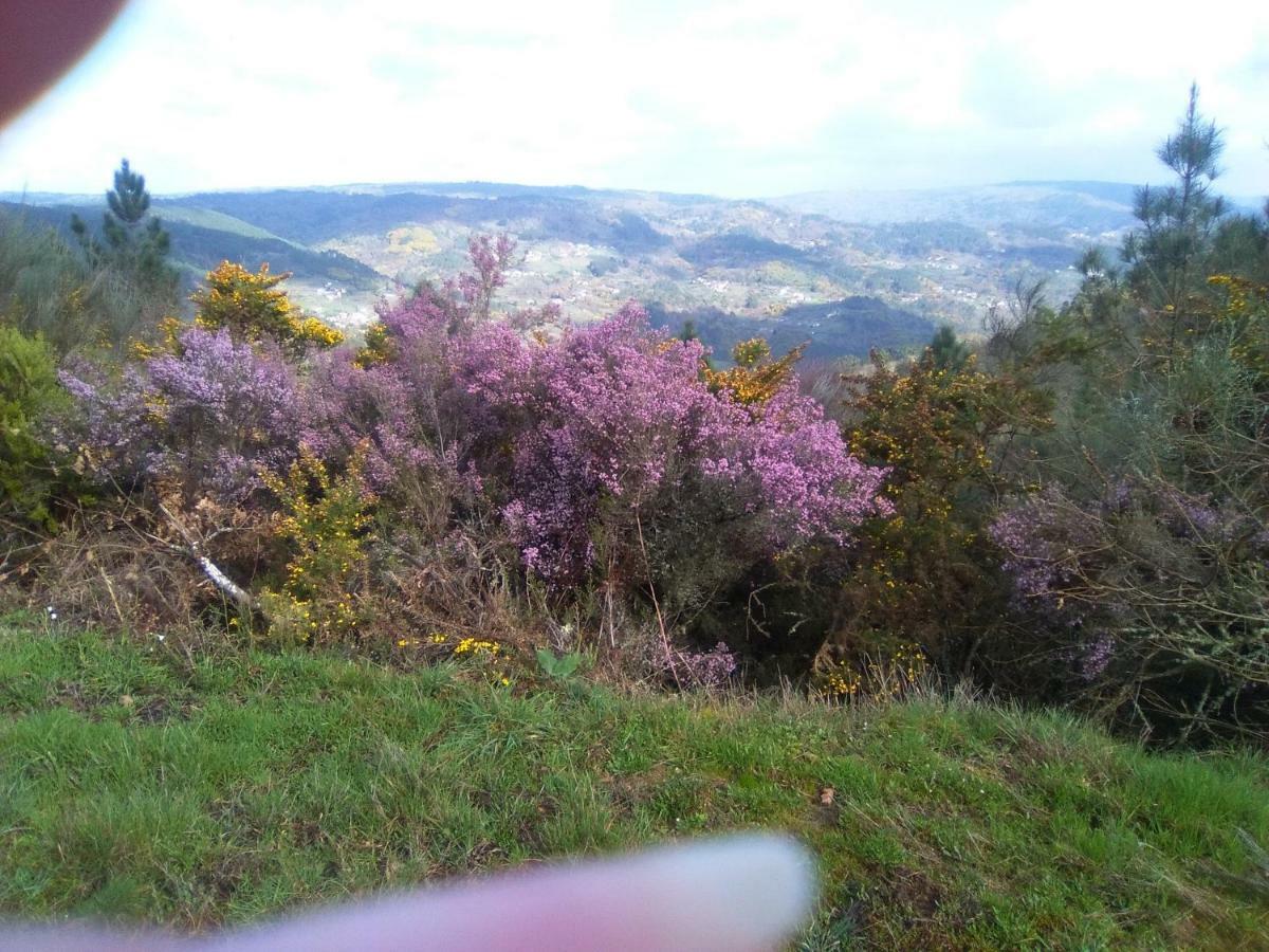 Villa Casa Da Vina - Ribeira Sacra à Nogueira De Ramuin Extérieur photo