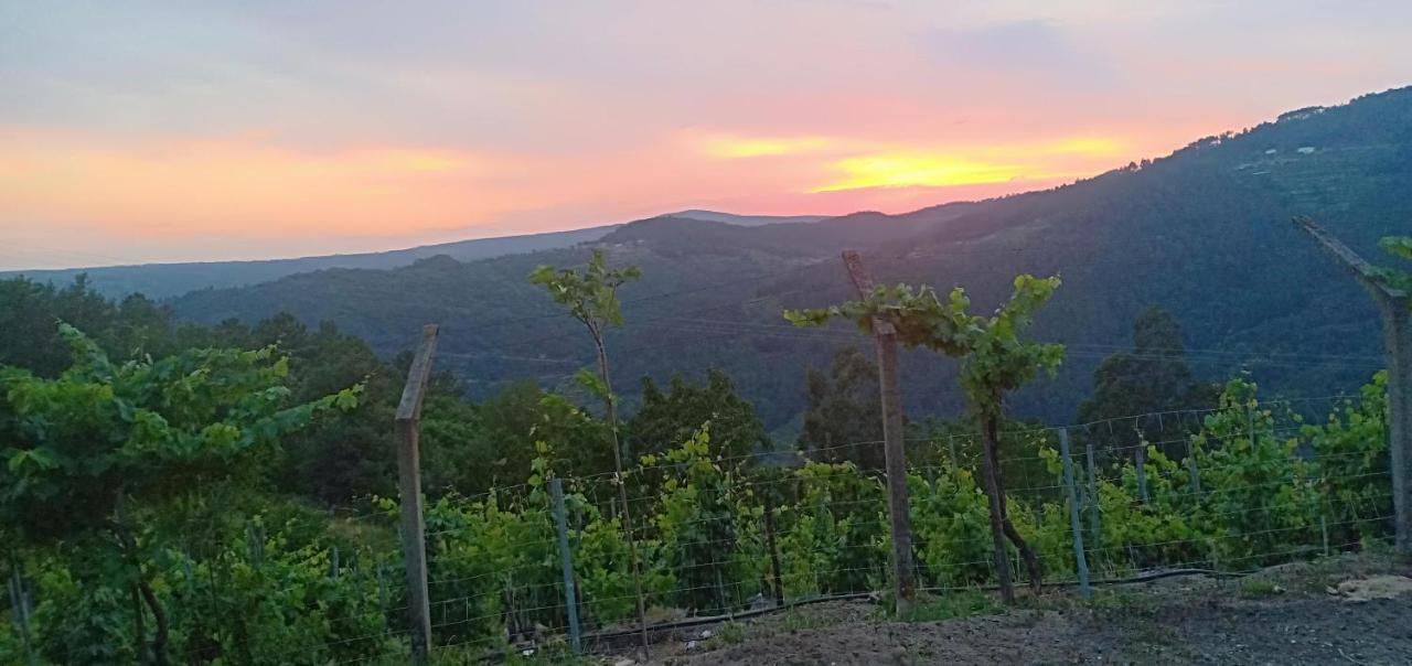 Villa Casa Da Vina - Ribeira Sacra à Nogueira De Ramuin Extérieur photo
